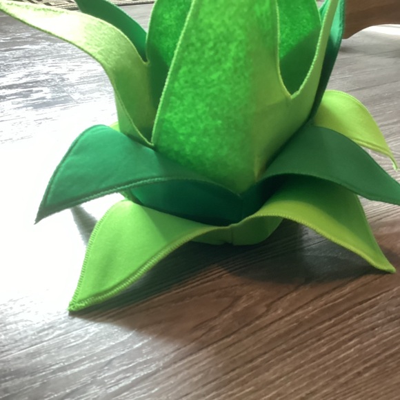 Pineapple Costume - Picture 5 of 5